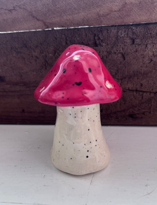 Ceramic pumpkins and toadstools