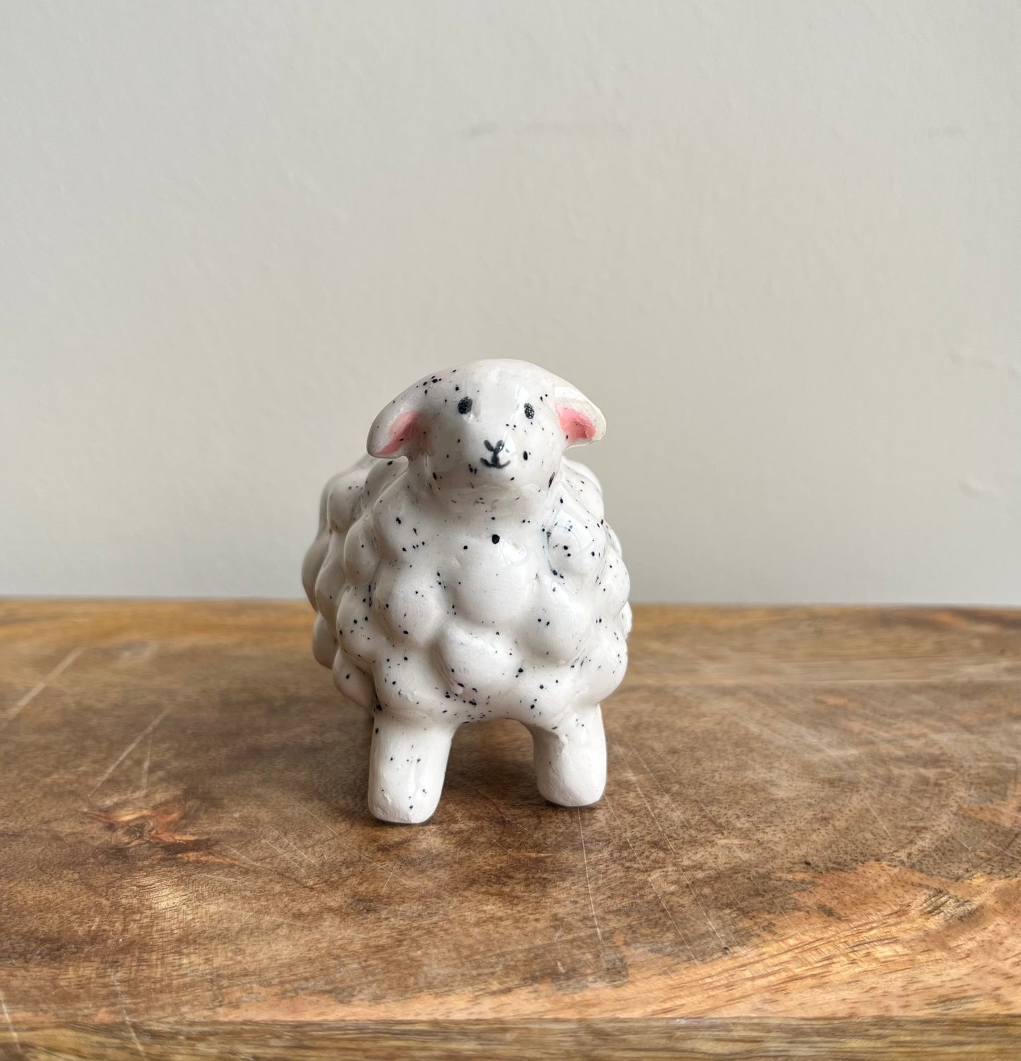Sheep