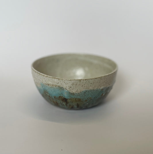 Blue speckled bowl
